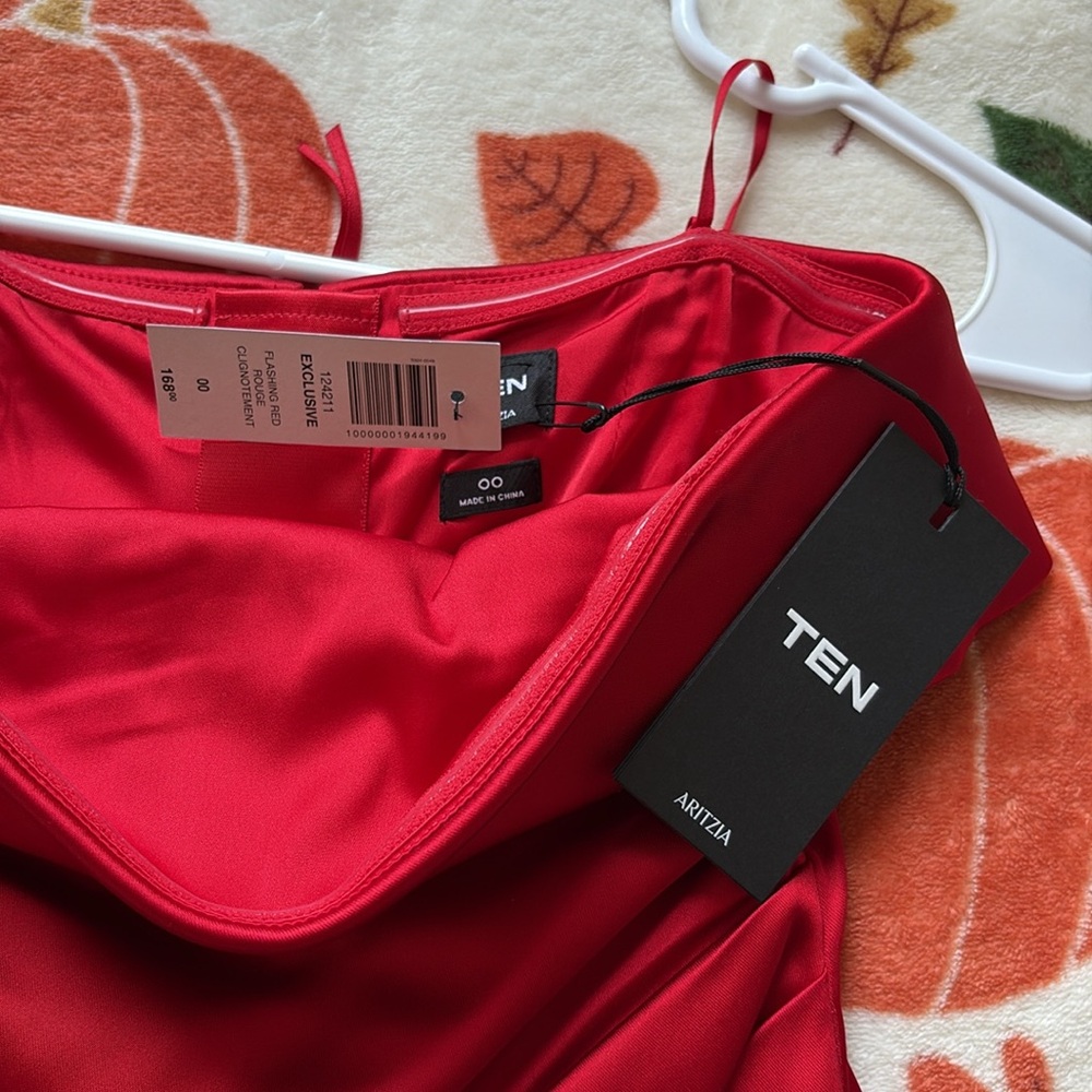 Aritzia Strapless Dress - Picture 9 of 9